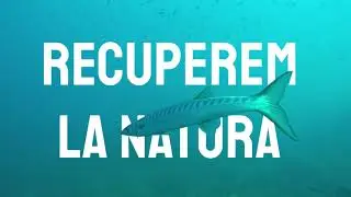 Estat de la natura a Catalunya 2020