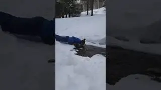 НЕЖНЫЙ 