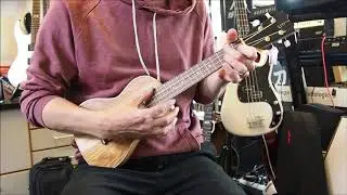 APC CC 1/2 Concert ukulele