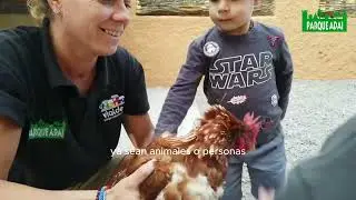 PROGRAMA ESCOLAR CUIDADO DEL RANCHO EN PARQUE ADAI
