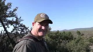 Cape Buffalo, Kudu and Plains Game 2026