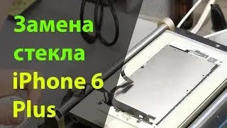Замена стекла на iPhone 6 Plus