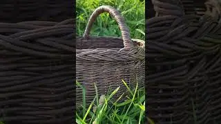 Бесплатный мастер-класс по плетению из бумаги на этой неделе😀Ссылка в шапке профиля