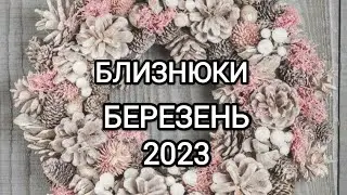 БЛИЗНЮКИ БЕРЕЗЕНЬ 2023