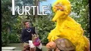 Sesame Street (