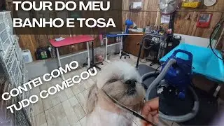 Tour pelo meu banho e tosa em casa  contei tudo como consegui.Minha história