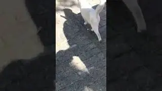 Зачем нужна женщина…
