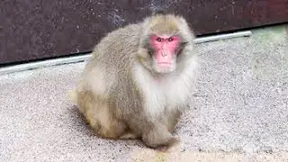 おい、この野郎！