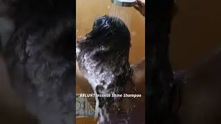 Bblunt Intense Shine Range on CURLY HAIR 