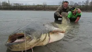 Monster 230 lbs Catfish VS Yuri Grisendi by Catfish World