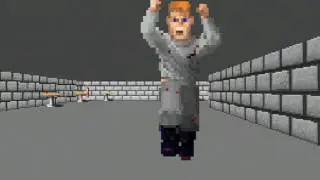 Wolfenstein Retrospective