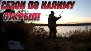 ОТКРЫЛ СЕЗОН ПО НАЛИМУ. ОСЕННЯЯ РЫБАЛКА 2021.