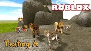 HOW TO GET TO TESTING A (WILD SAVANNAH) & How to Run FAST + Approaching a LION'S PRIDE! Attack!?