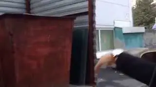 Девушка и банан!!!