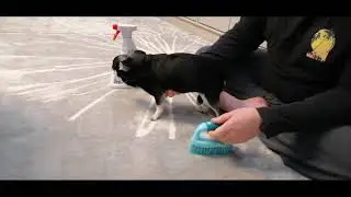 Преступление и наказание)( или Кто нассал?!