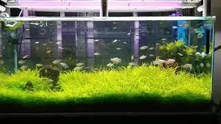 Welcome to the Jungle
