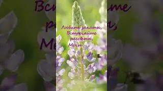 Клип для сообщества ВК