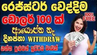 Online Job Sinhala | New E Money Site | online jobs at home | Online Jobs Sri Lanka Part Time 2023