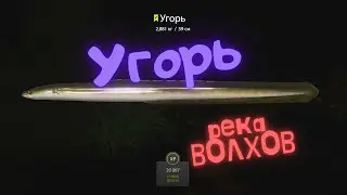 Русская рыбалка 4 (РР4) Река Волхов УГОРЬ