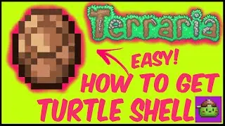 How To Get Turtle Shell In Terraria | Terraria 1.4.4.9