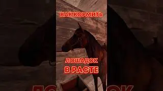 Как кормить лошадей в расте как покормить коня rust 