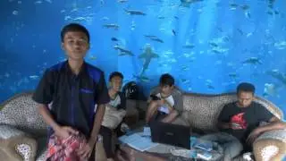 Up & up (Ikan dalam Ruangan) After Effect Series