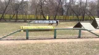 Рыжий Ап 2015. Выступление рр Шанти.