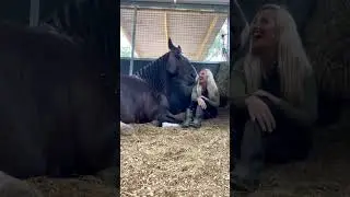Longest horse fart ever 😂