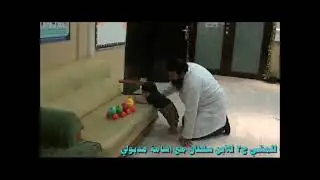 إرشادات هامة للمشي ج2 للابن سلطان مع اسامة مدبولي , متلازمة داون Down Syndrome