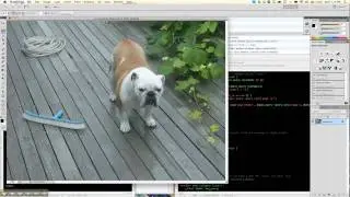 Content Aware Fill in Photoshop CS5