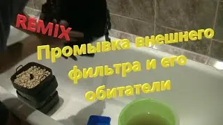 Remix_Промывка внешнего фильтра и его обитатели БЕЗ МУЗЫКИ