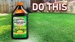 No Lawn Weeds With These Easy Tips