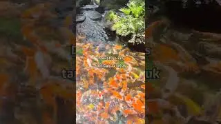 PaBoon Cafe - Pattaya - Thailand (Seafood and Thai Food Resto&Cafe)
