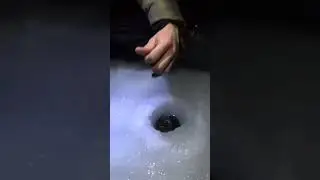 Красивая рыбка😊 