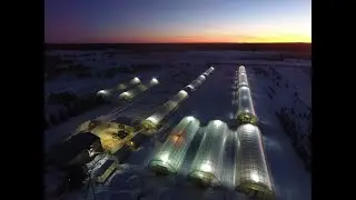 Питомник Внуково 2019