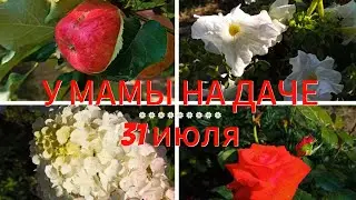 У МАМЫ НА ДАЧЕ / 31 июля
