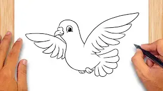 How to draw Cute Dove