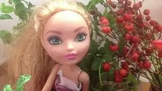 ~stop motion~видео на конкурс от канала "Tinatin Go Rite"на тему:"УРА ЛЕТО"(стоп моушен монстр хай)