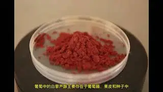 grape seed extract OPC, grape skin Extract resveratrol
