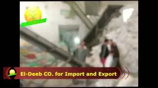 video1