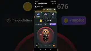 شفرة مورس بوت هامستر لهذا اليوم 05-07-2024