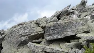 DSC 0265