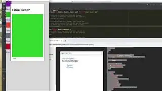 Image Galleries with React Router