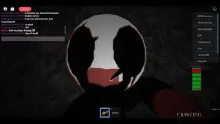 The Maze