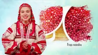 Это Сахалин, детка: клоповка