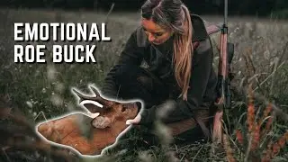 Roe Buck Hunting - Things Do Not Always Go According to Plan!