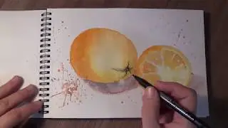 Watercolor sketching for beginners. How to draw an orange.