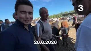 20 июня 2026 г. Bulungʻur tuman Оqtepa mol bozor +998901913399 