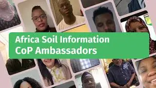 Meet the Africa Soil Information Community of Practice Ambassadors