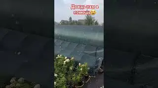 Дождь , какое счастье💗